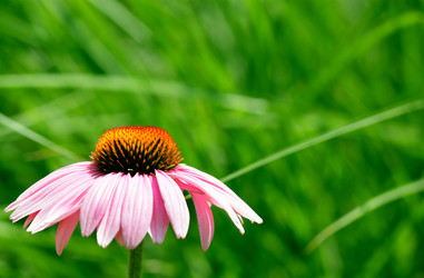 Similar image 233479