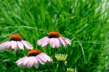 Similar image 233480