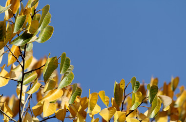 Similar image 233484