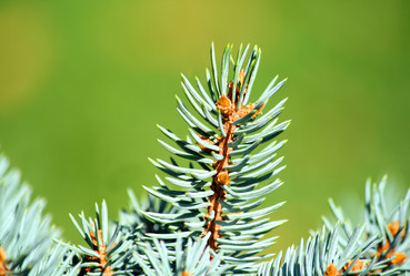 Similar image 233485