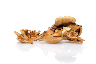 Similar image 233504