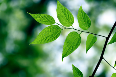 Similar image 233566