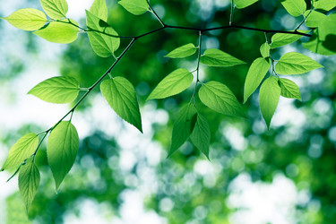 Similar image 233567