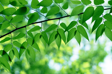 Similar image 233568