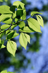 Similar image 233569