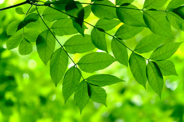 Similar image 233570