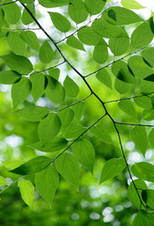 Similar image 233571