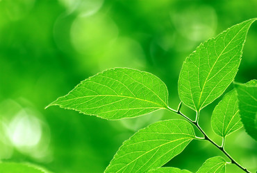 Similar image 233572