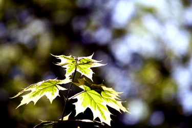 Similar image 233574