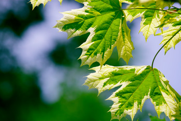 Similar image 233575