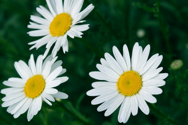 Similar image 233576