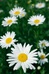 Similar image 233577