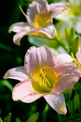 Similar image 233578