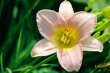 Similar image 233579