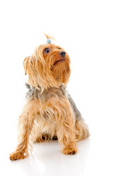 Similar image 233583