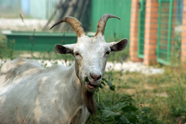 Similar image 233603