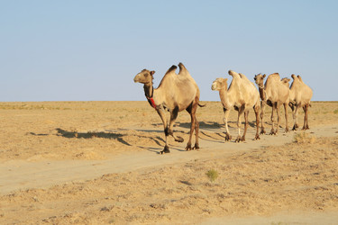 Similar image 233604