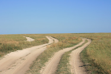 Similar image 233606