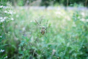 Similar image 233607