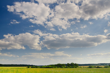 Similar image 233608