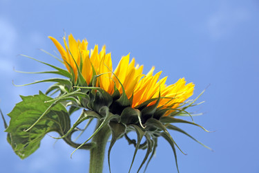 Similar image 233628