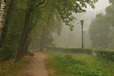 Similar image 233634