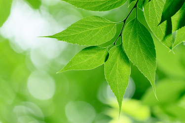 Similar image 233668