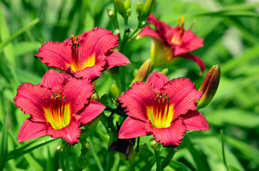 Similar image 233671