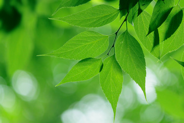 Similar image 233710