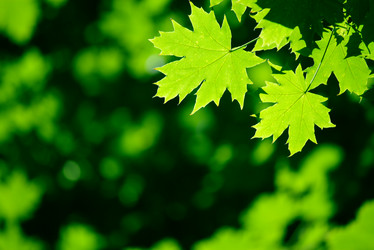 Similar image 233717