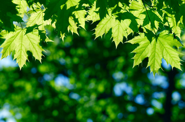 Similar image 233722