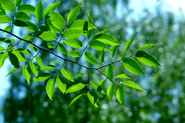 Similar image 233724