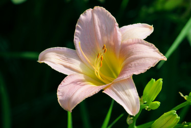 Similar image 233726