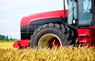 Similar image 233733