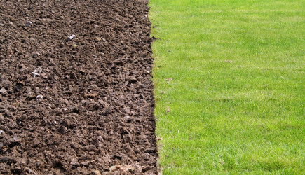 Similar image 233735