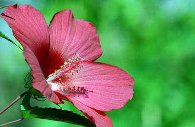 Similar image 233832