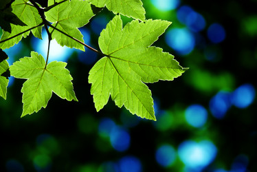 Similar image 233831