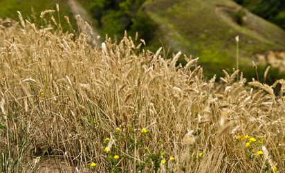 Similar image 233837