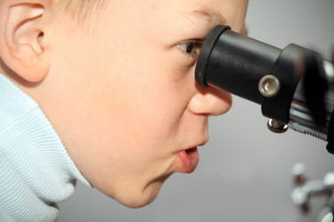 Similar image 233840