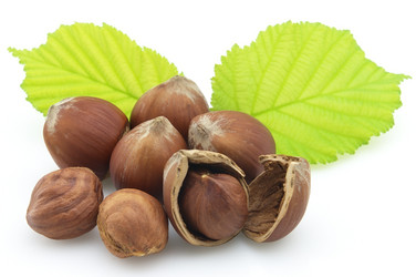 Similar image 233843