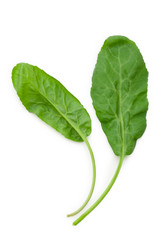 Similar image 233873