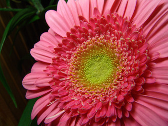 Similar image 233875