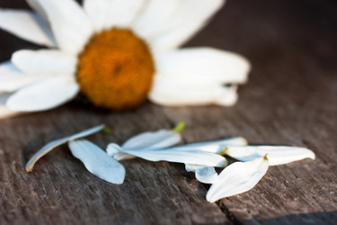 Similar image 233876