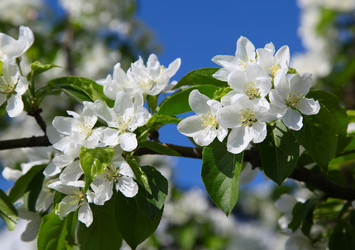 Similar image 233877