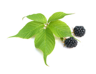 Similar image 233889