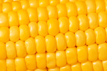 Similar image 233924