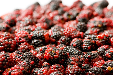 Similar image 233929