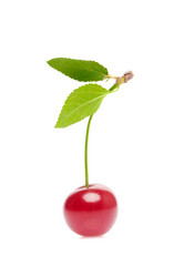 Similar image 233960