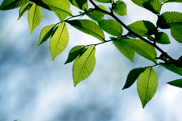 Similar image 233970