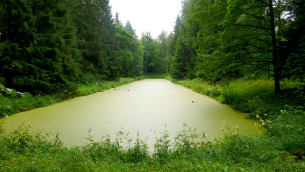 Similar image 233972